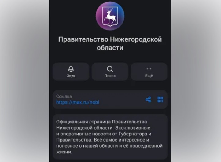 Правительство Нижегородской области теперь есть в MAX!