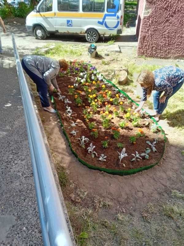 Посадка цветов 